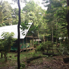 Cabañas Maikü Selva